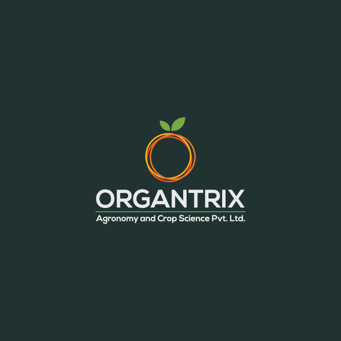 orange, attractive, organic, agricultural, leaf